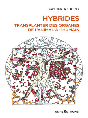 cover image of Hybrides--Transplanter des organes de l'animal à l'humain